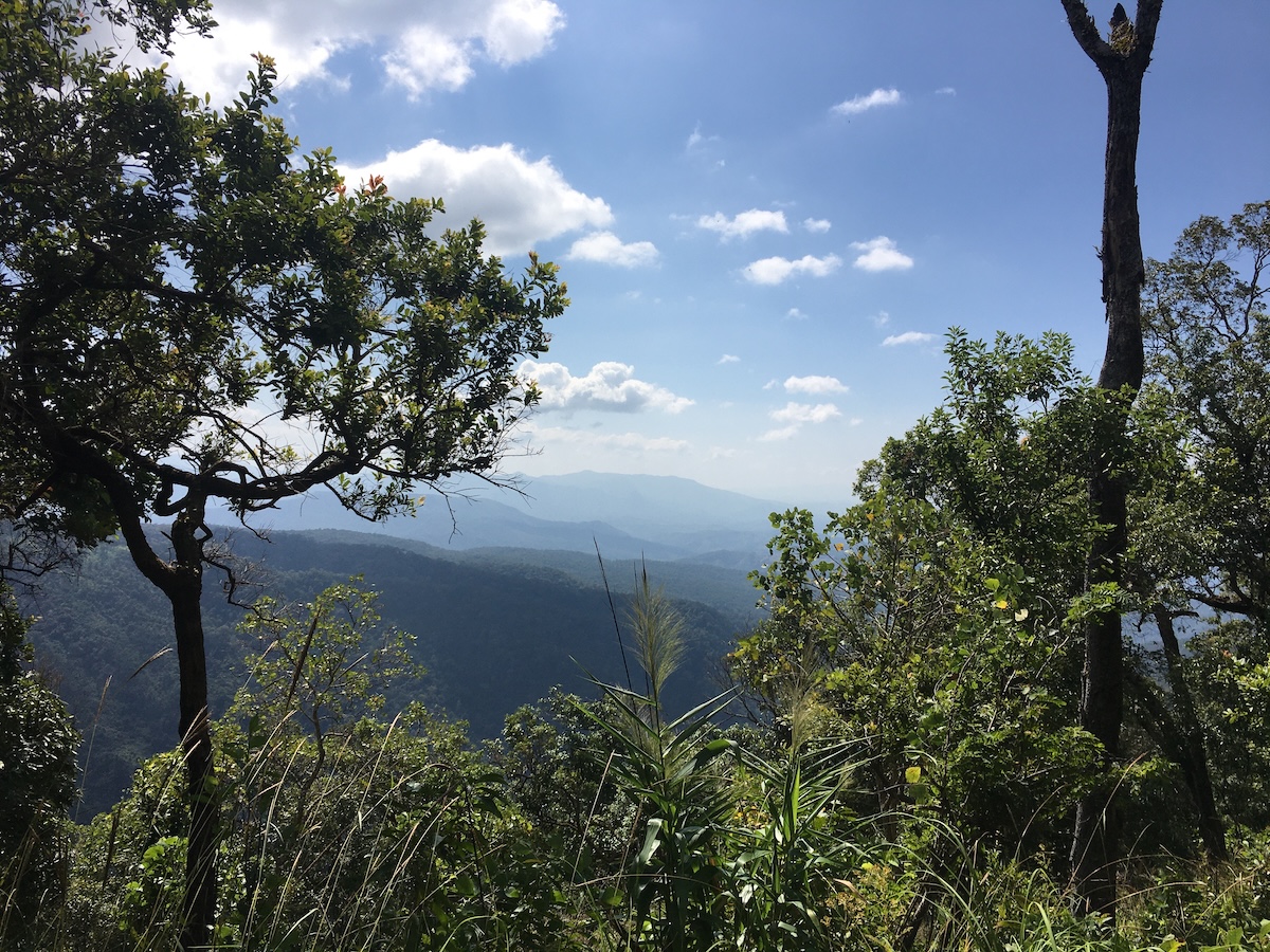 Hiking