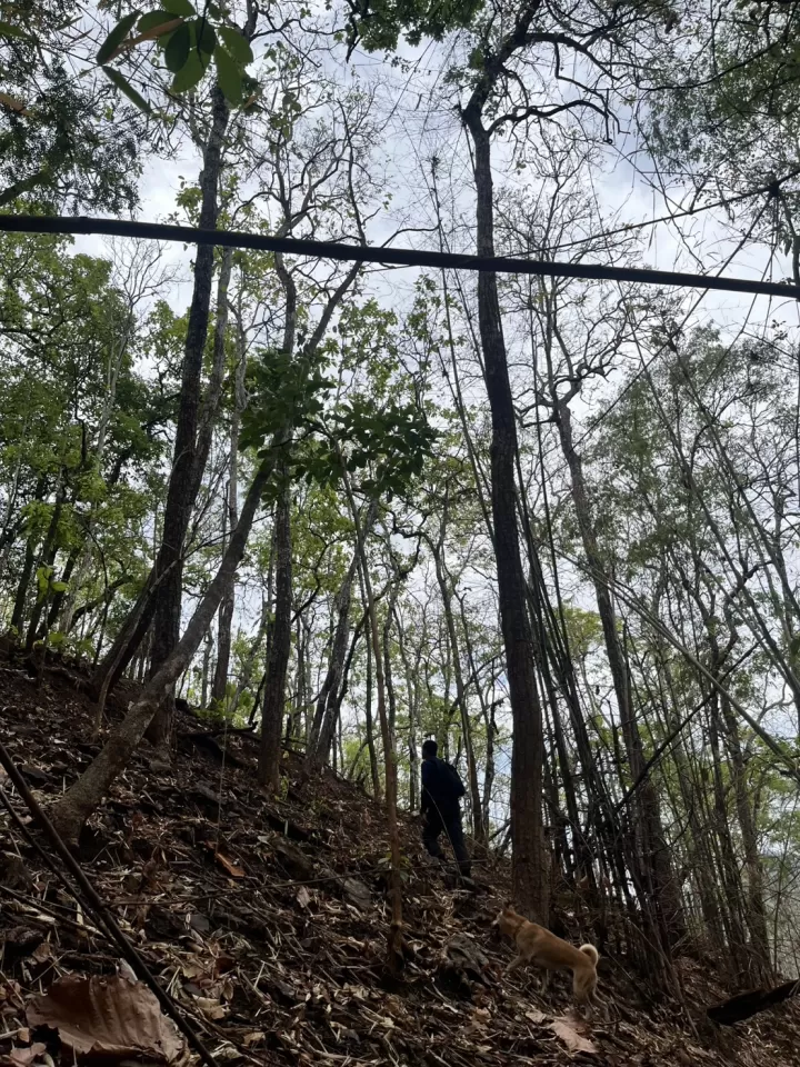 One-Day Trip plus No 2 White Water Rafting 10 km plus Hiking 4 Km 23