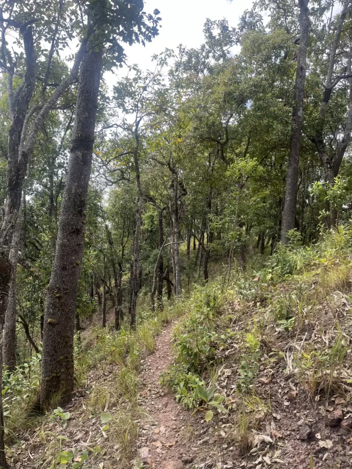 One-Day Trip plus No 2 White Water Rafting 10 km plus Hiking 4 Km 24