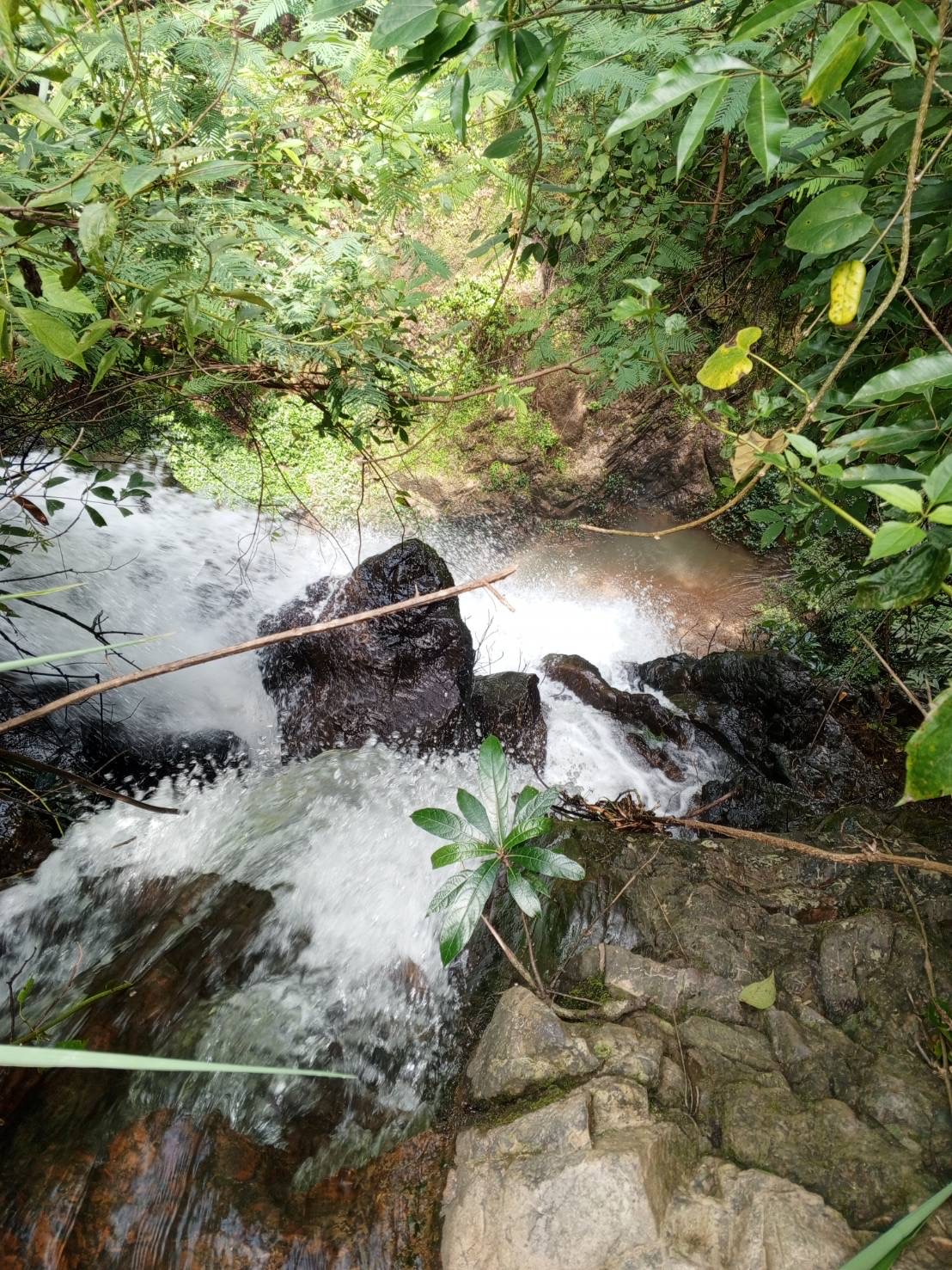 Hiking (Half Day Tour) 9