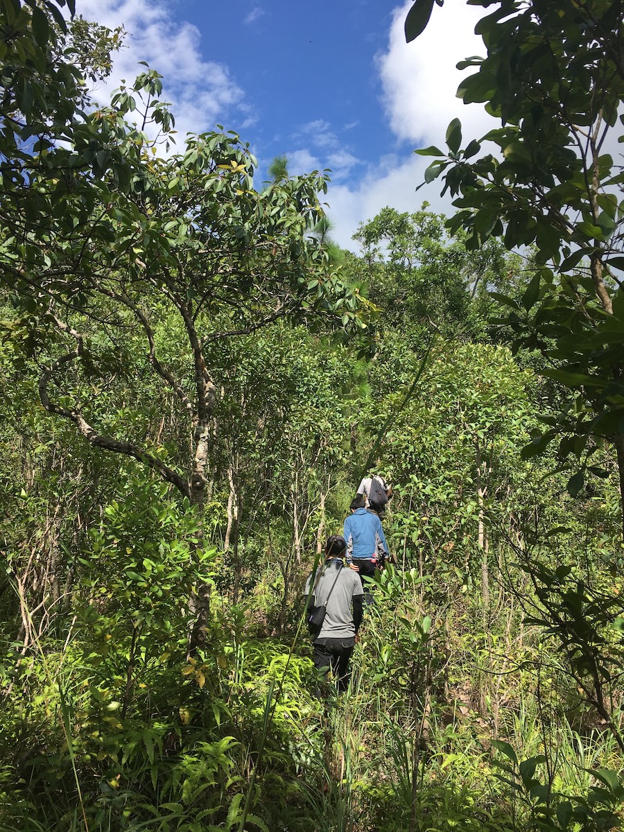 Trekking 18 Km PHU HUAD  SUMMIT 3