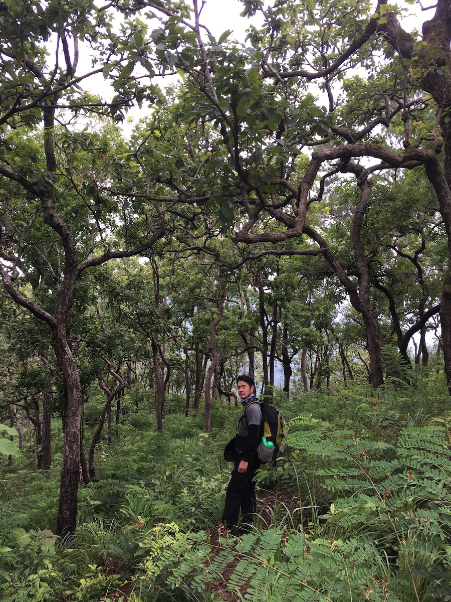 Trekking 18 Km PHU HUAD  SUMMIT 2