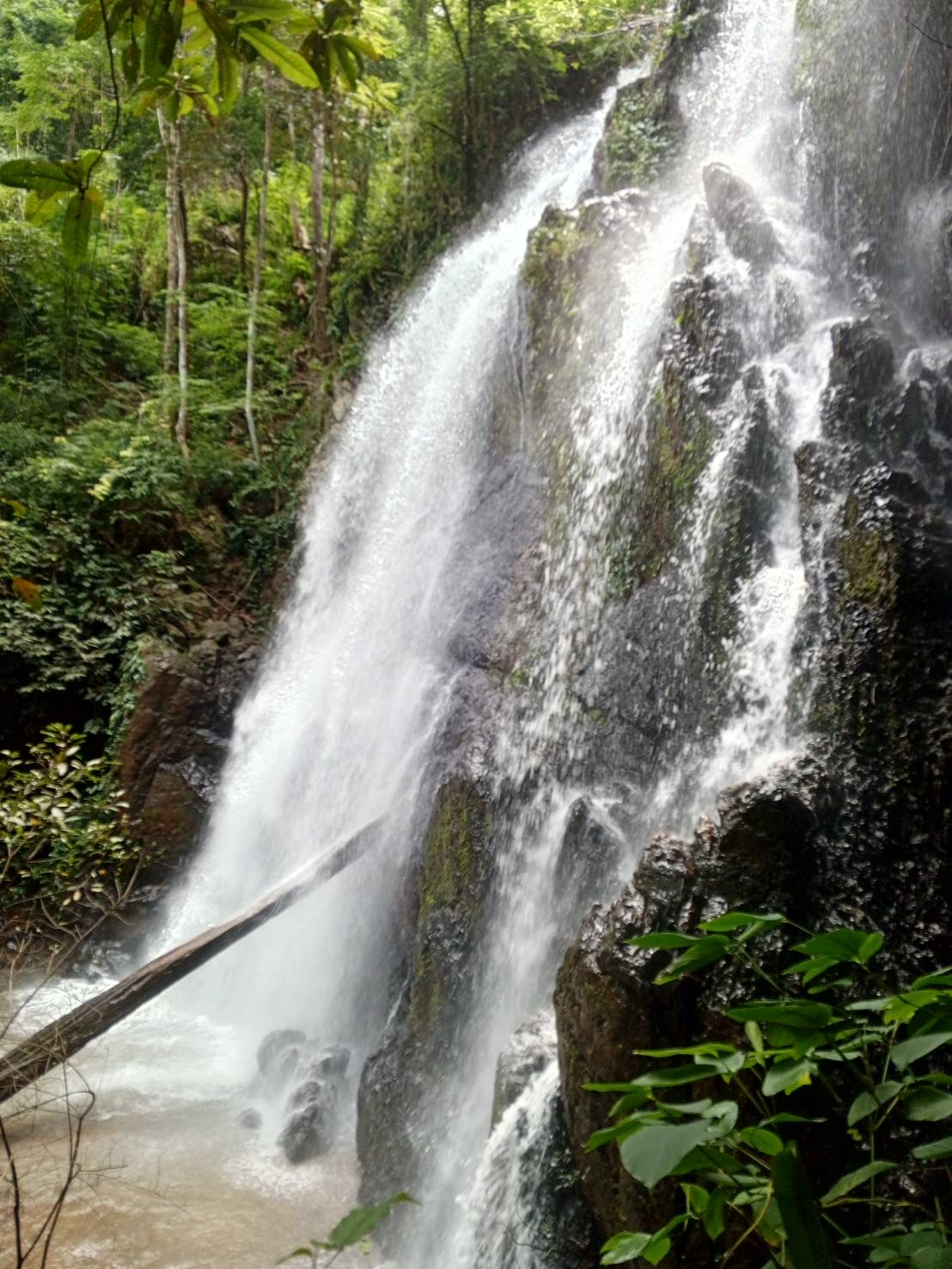 Hiking (Half Day Tour) 8