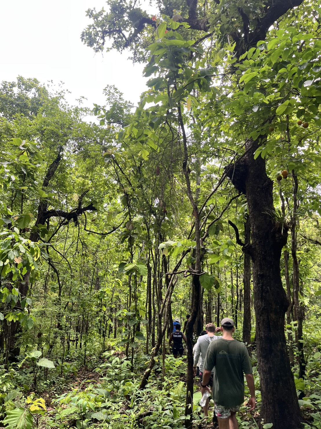 One-Day Trip plus No 2 16