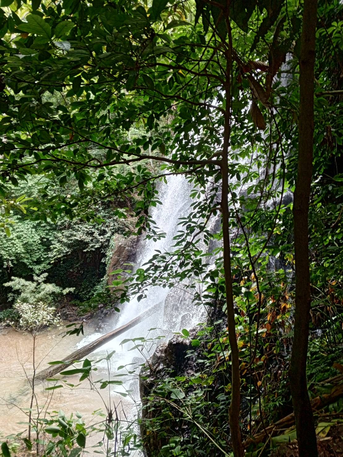 Hiking (Half Day Tour) 6