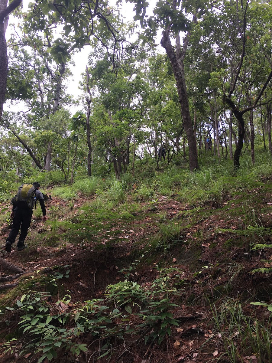 Trekking 18 Km PHU HUAD  SUMMIT 9
