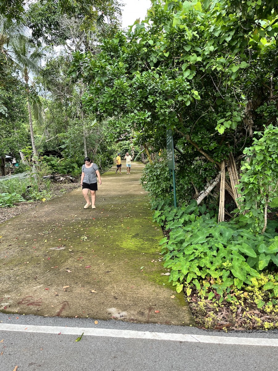Eco coffee farm tour 7