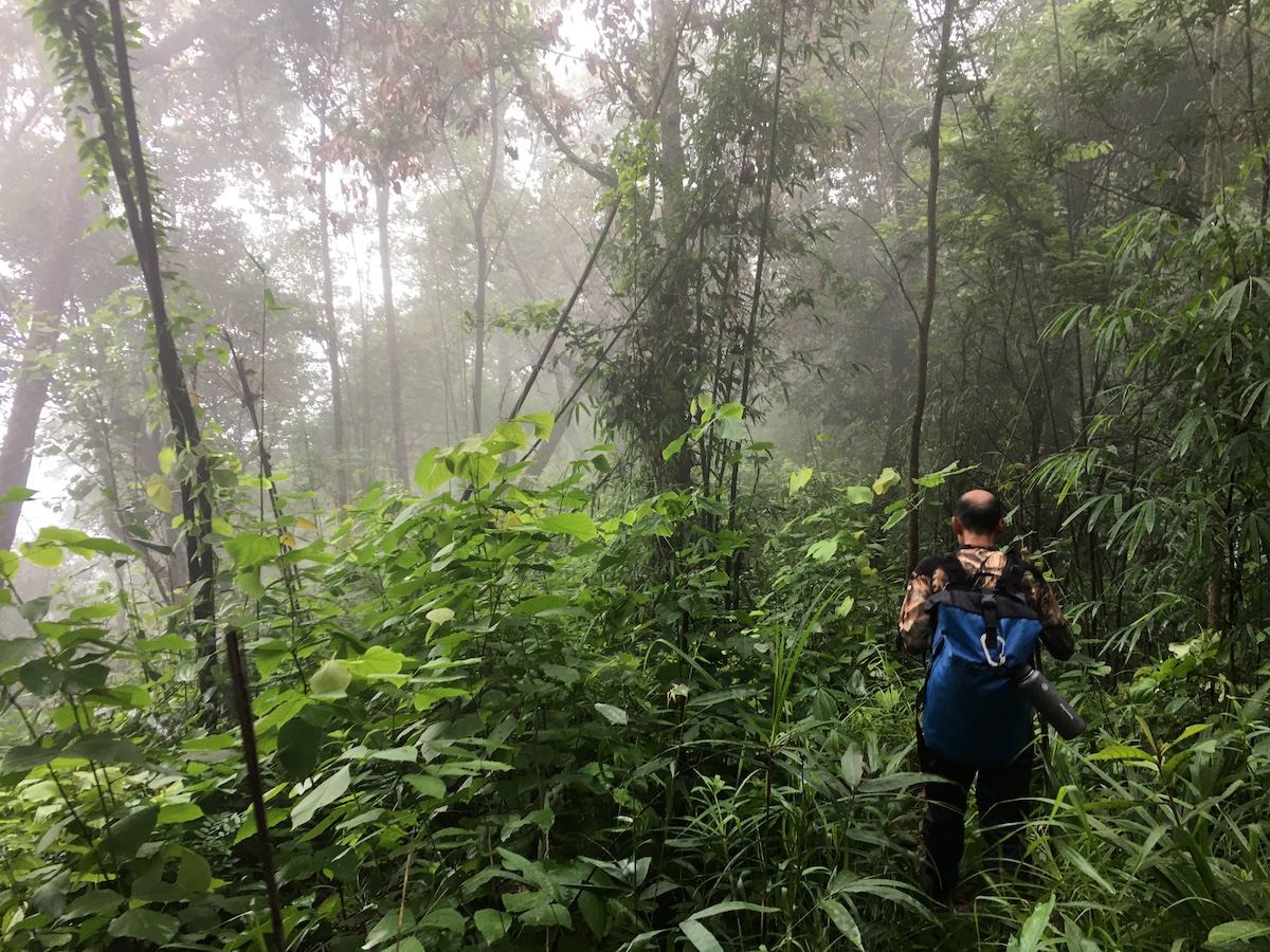 Trekking 18 Km PHU HUAD  SUMMIT 8