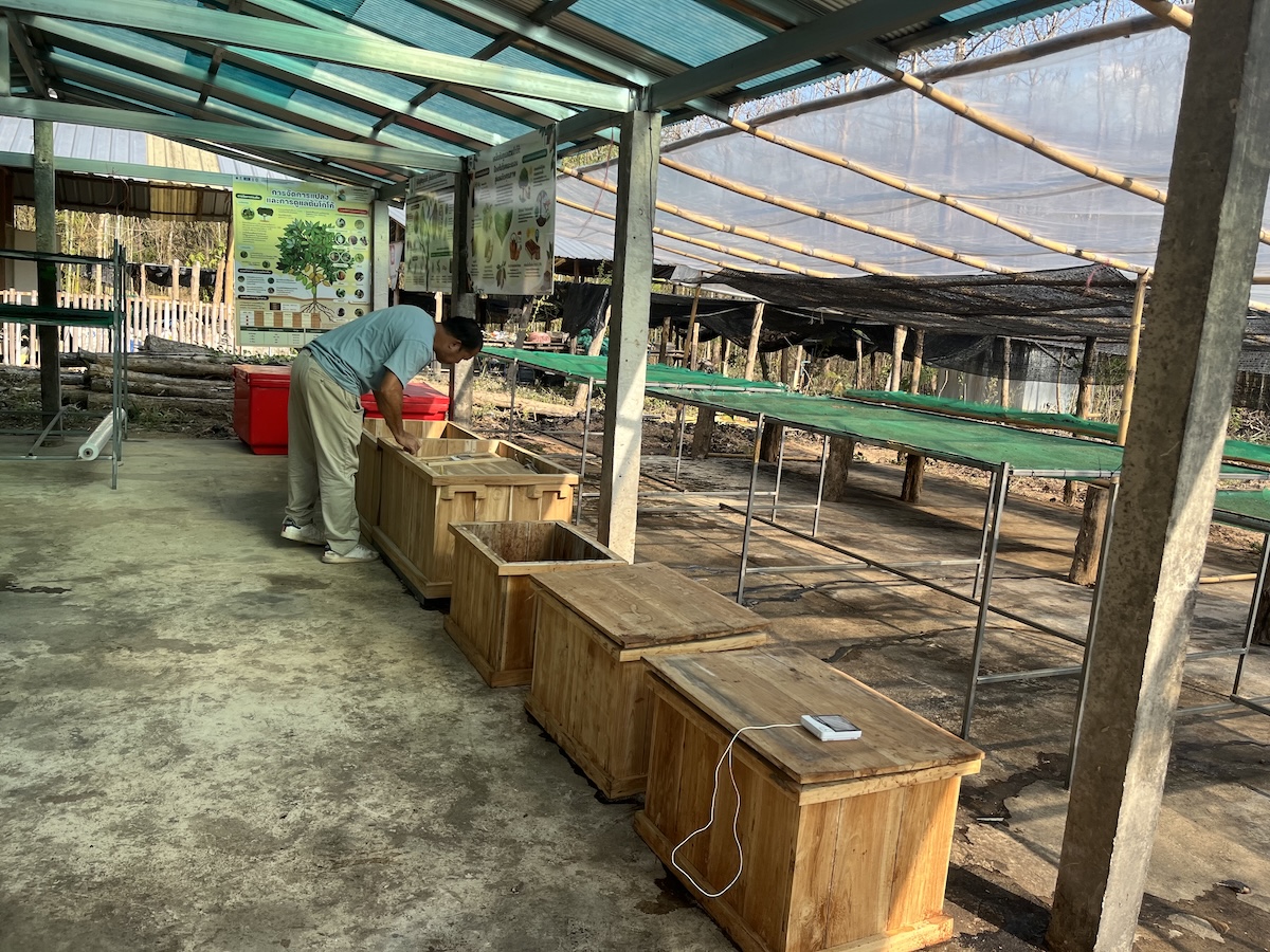 Eco coffee farm tour 6