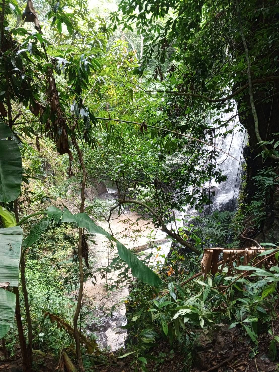 Hiking (Half Day Tour) 5