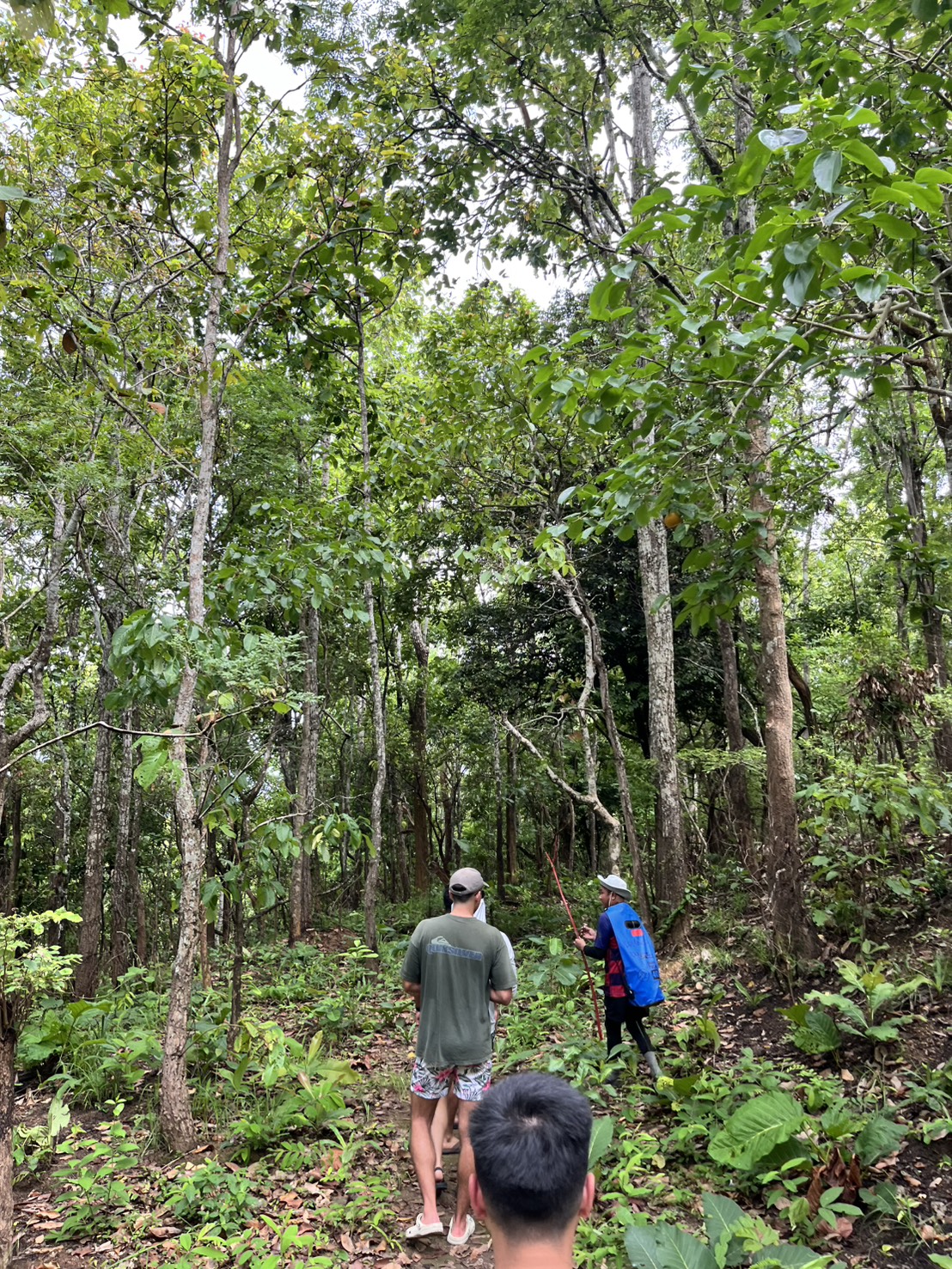 One-Day Trip plus No 2 20