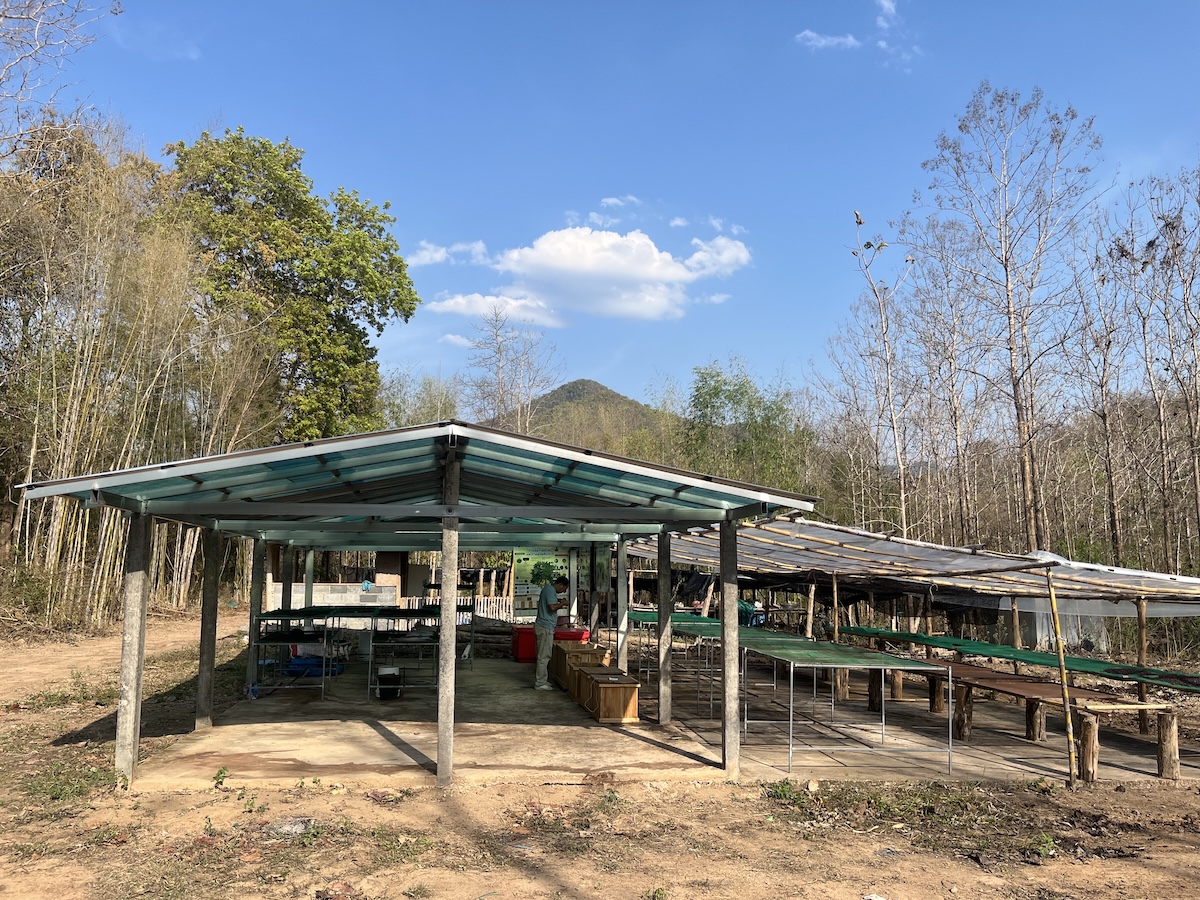 Eco coffee farm tour 9