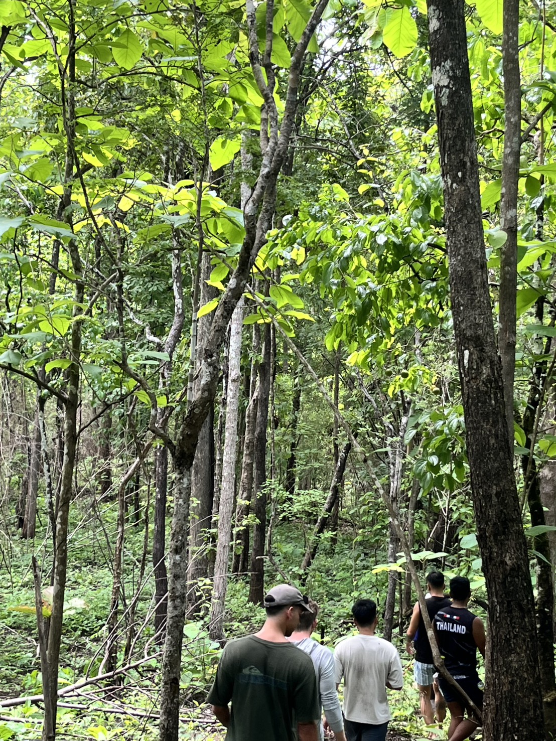 One-Day Trip plus No 2 15