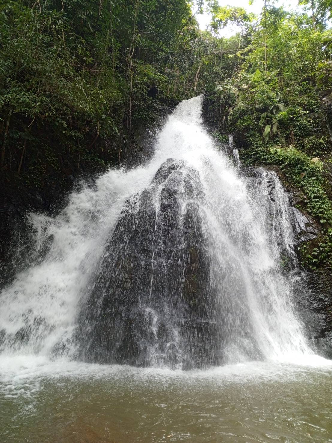 Hiking (Half Day Tour) 2