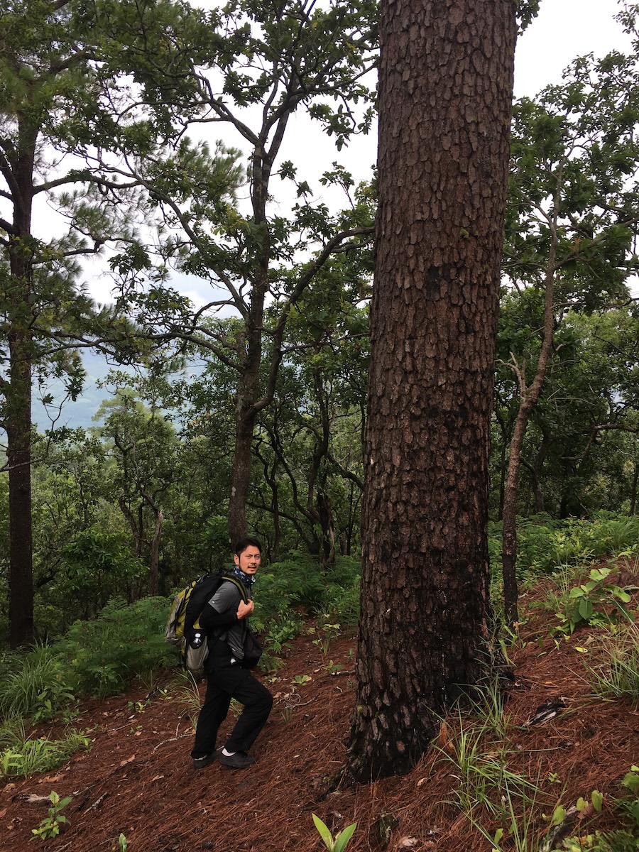 Trekking 18 Km PHU HUAD  SUMMIT 1