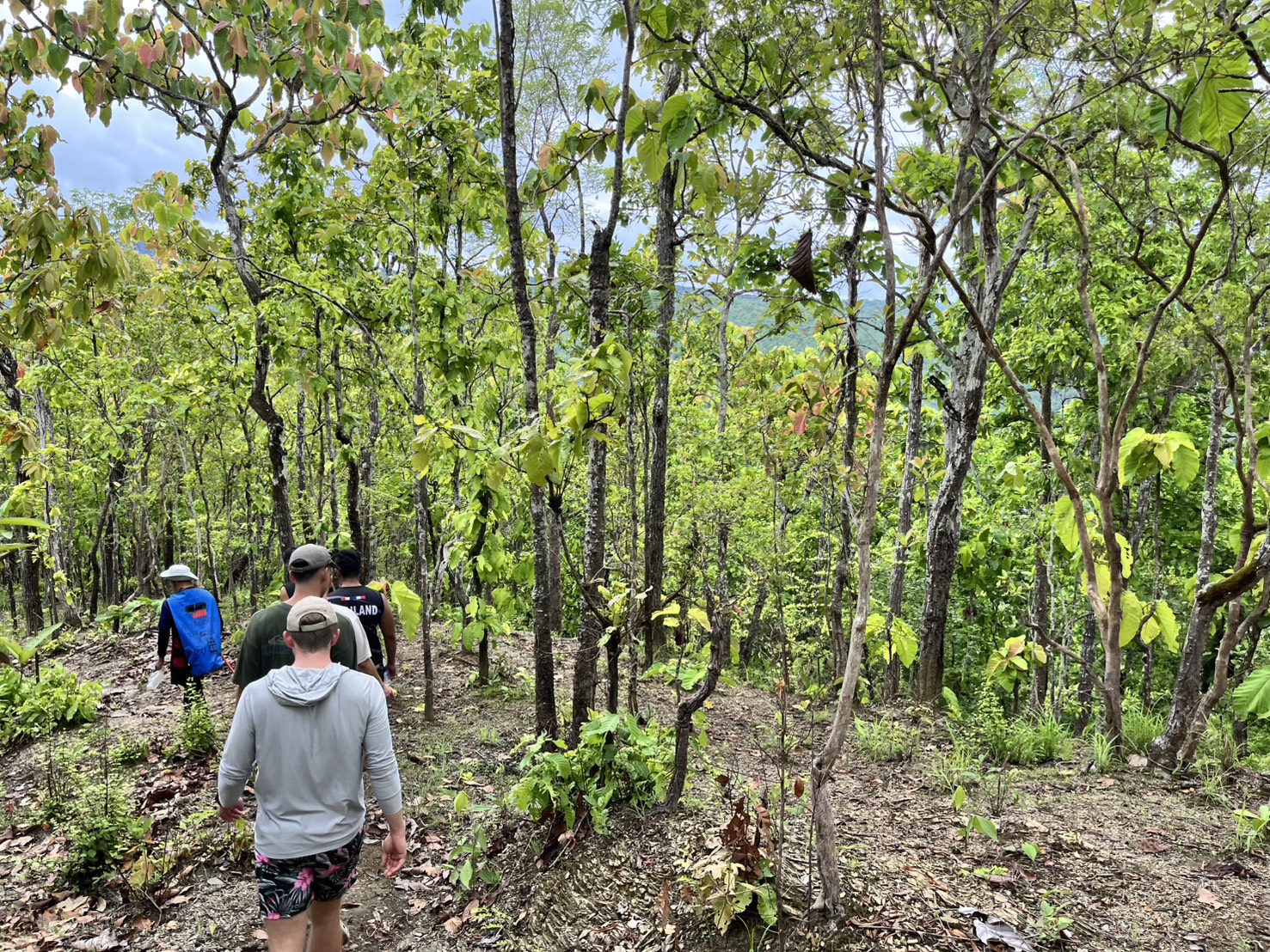 One-Day Trip plus No 2 18