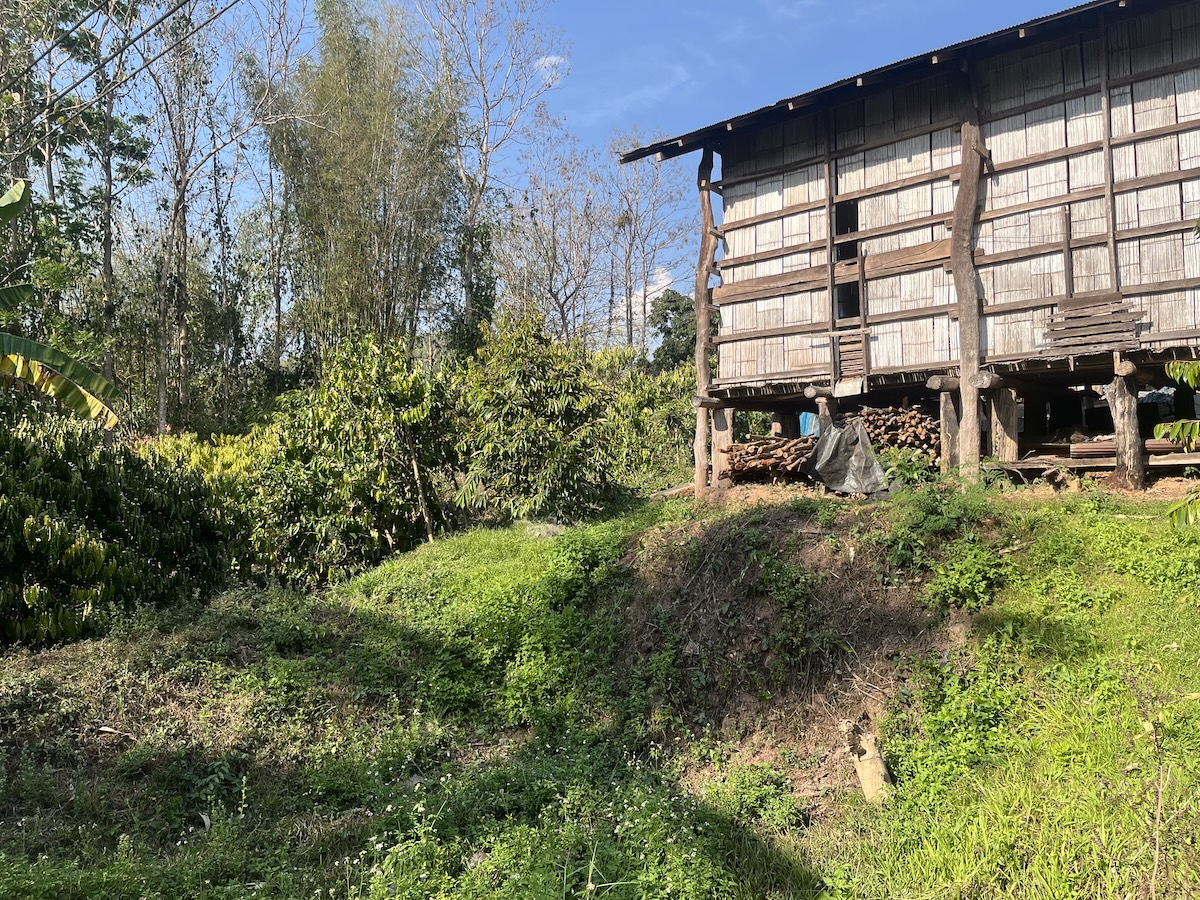 Eco coffee farm tour 4
