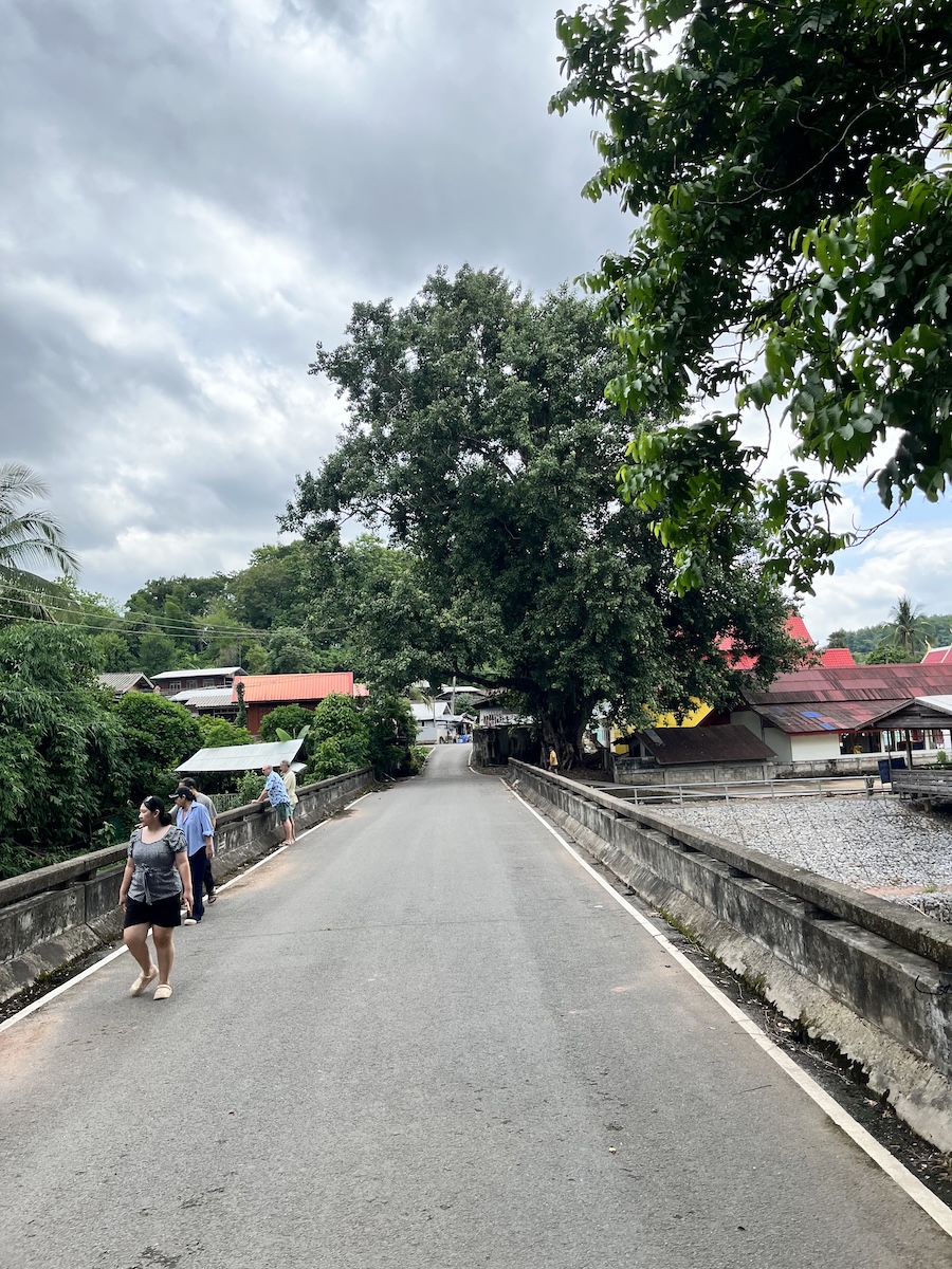 Eco coffee farm tour 2
