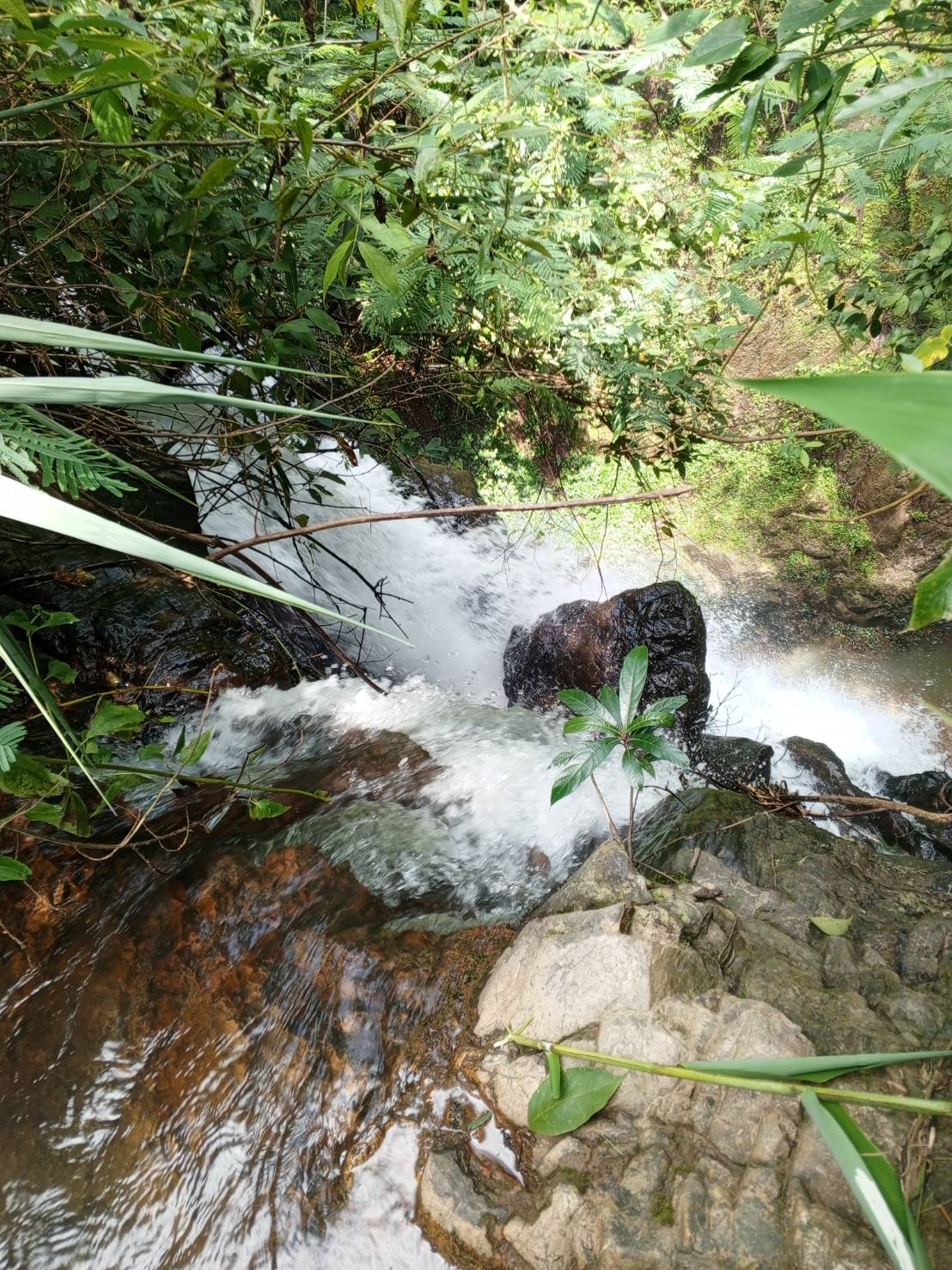 Hiking (Half Day Tour) 4